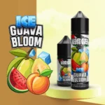 Guava Bloom - جوافا بلووم